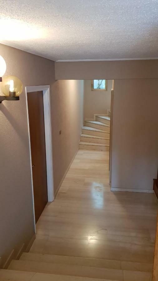 Apartment Androniki *